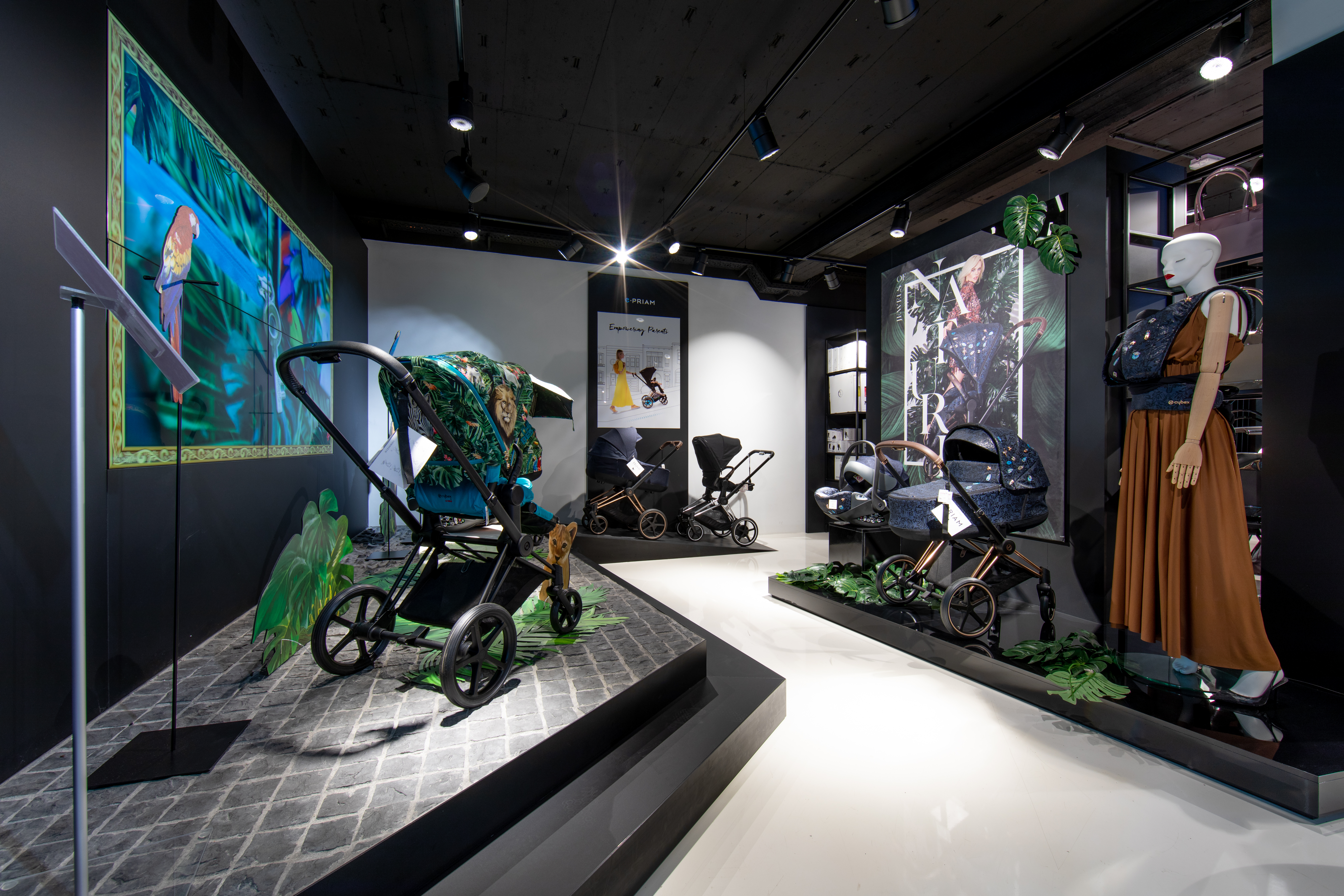 Kinnings Retail Store — DE Cybex platinum 01