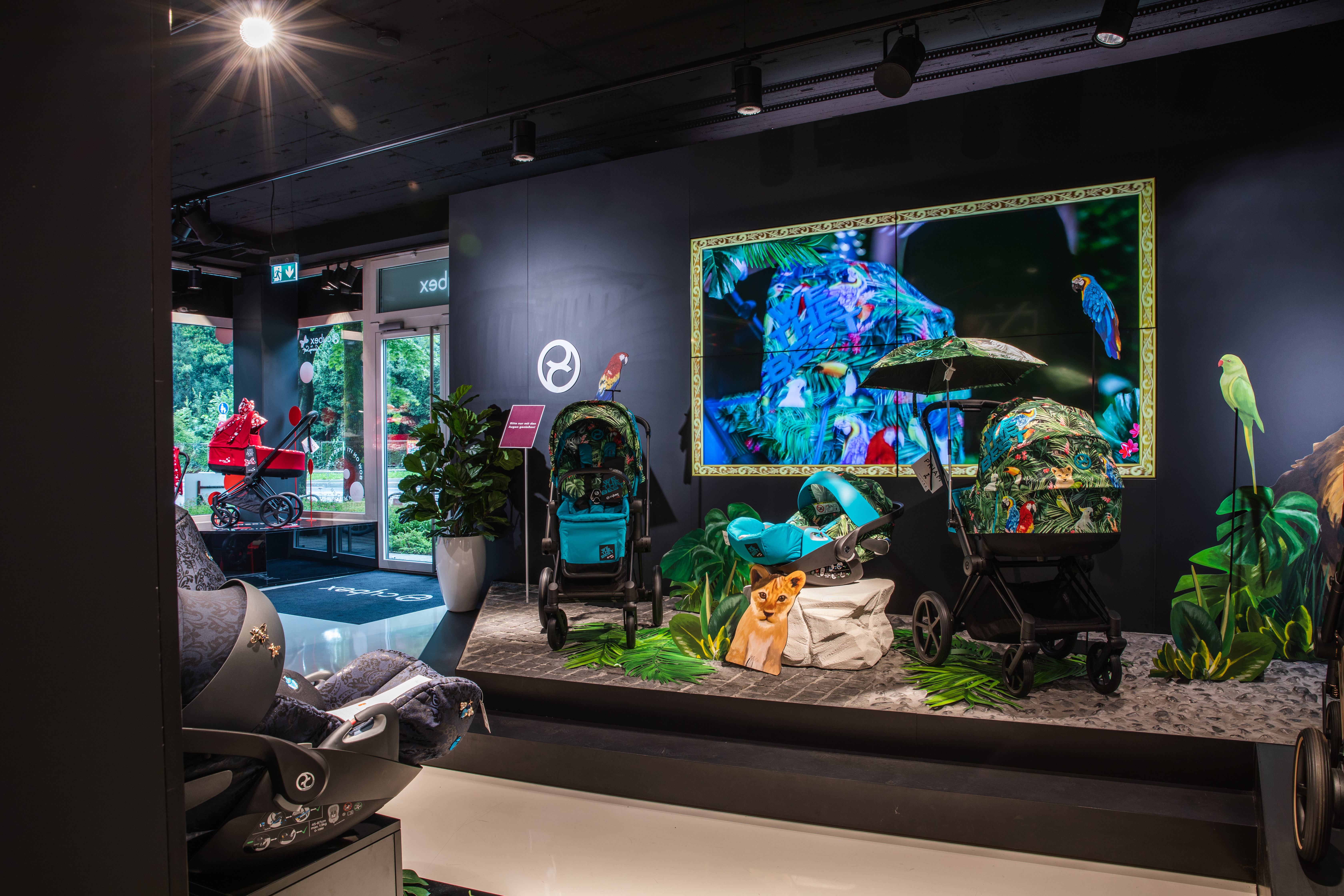 Kinnings Retail Store — DE Cybex platinum 02