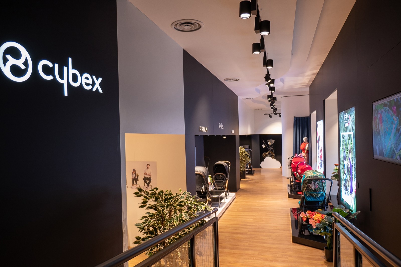 Cybex Milan Renovation